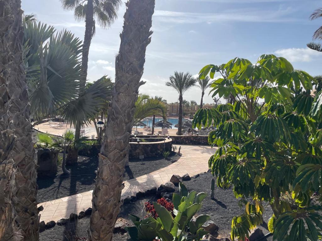 Casa Mari Y Jose Con Grandes Piscinas Y Wifi Gratis Apartment คอร์ราเลโฮ ภายนอก รูปภาพ